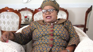 Photo of Ramakoae, Pandor in cross border talks