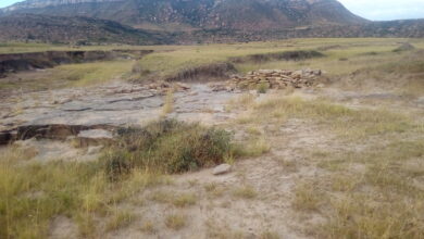 Photo of The evolution of the southern region