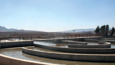 Photo of Corruption allegations against Matekane